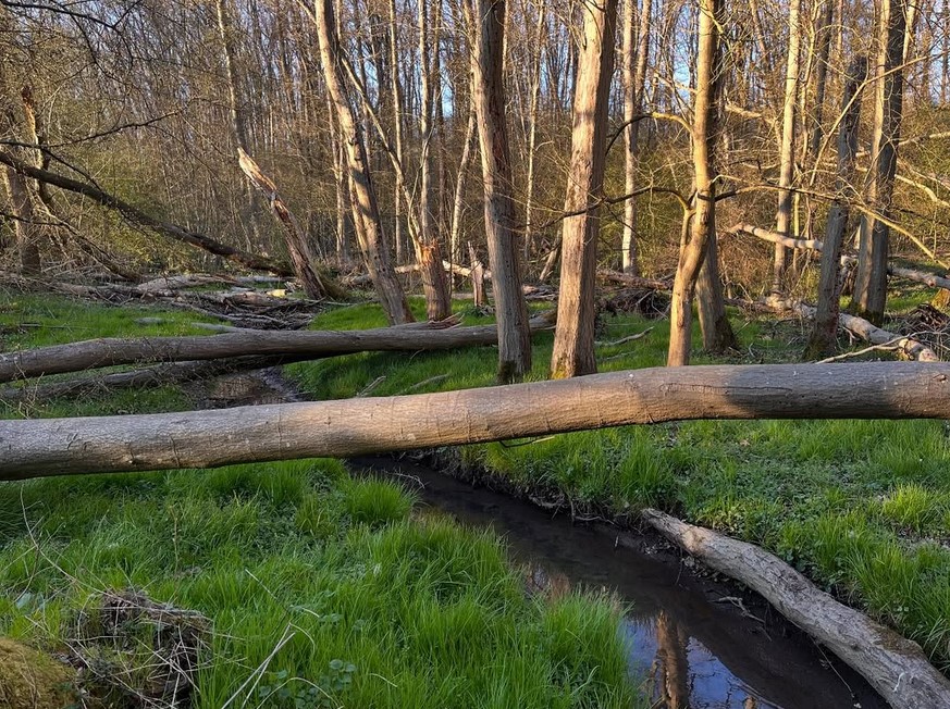 Wald & Bach – Tourumgebung